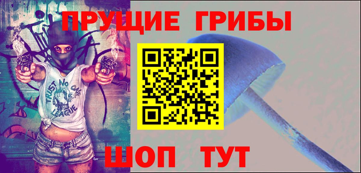 Луга  Псилоцибиновые грибы Psilocybe  Вход с VPN  Псилоцибиновые грибы Psilocybe 